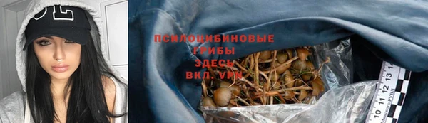 a pvp Алзамай